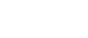 Memory Cognition