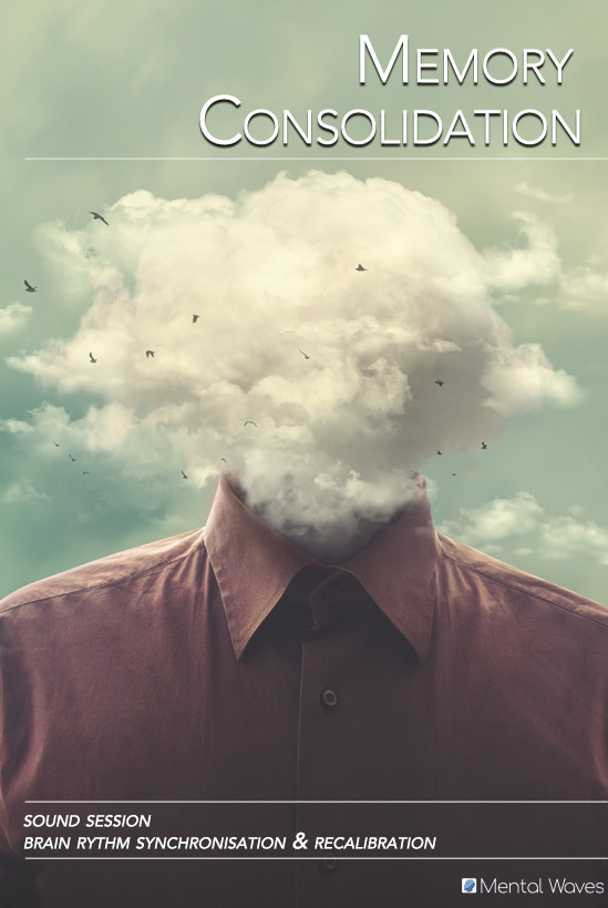 Memory Consolidation