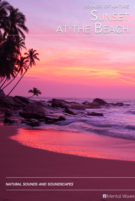 Sunset on the Beach