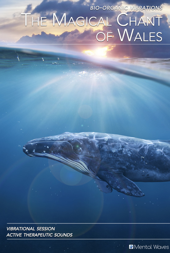 Magic Whale Song Therapeutic Frequencies