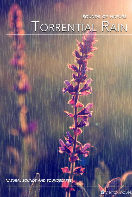 Torrential Rain