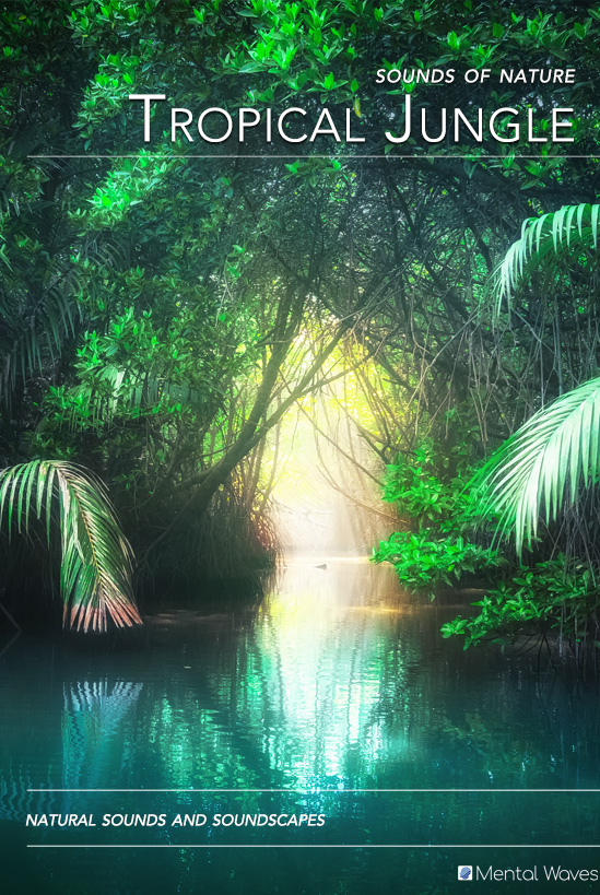 Tropical Jungle
